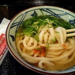 Marugame Seimen - かけうどん並