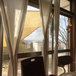 cafe sakura - 