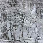 観光荘 - 夜のうちに雪が積もっていました(@_@)