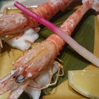 心・技・体 うるふ 博多 - 
