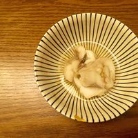 山城屋庄蔵 - 