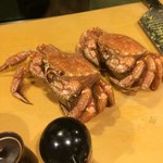 うを徳 - 噴火湾毛蟹