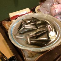 うを徳 - 琵琶湖本諸子