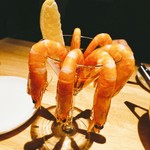 カリフォルニアラウンジ - 