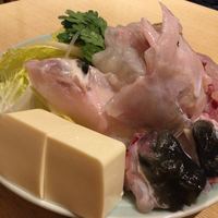 とらふぐ亭 新宿別館 - 