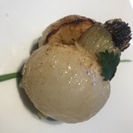 レフェルヴェソンス - 