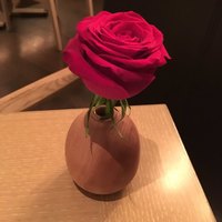 オールデイダイニング セリーズ - 