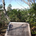 伊豆高原 城ケ崎温泉 花吹雪 - 