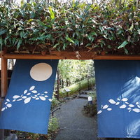 伊豆高原 城ケ崎温泉 花吹雪 - 