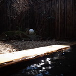 伊豆高原 城ケ崎温泉 花吹雪 - 