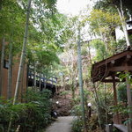 伊豆高原 城ケ崎温泉 花吹雪 - 