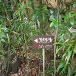 伊豆高原 城ケ崎温泉 花吹雪 - 