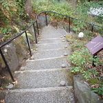 伊豆高原 城ケ崎温泉 花吹雪 - 