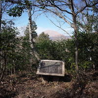 伊豆高原 城ケ崎温泉 花吹雪 - 