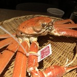 ふくい、望洋楼 - 