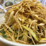 札幌ラーメン 北斗 - シビカラ肉味噌 ネギトッピング。ネギマシマシ！
