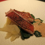 エクアトゥール - 30年2月　金目鯛炙り　白クラゲ、ちぢみホウレン草、独活マリネ、胡麻ソース