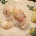 シロアマダイ（大分）