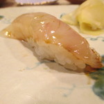 うを徳 - シマアジ（屋久島）