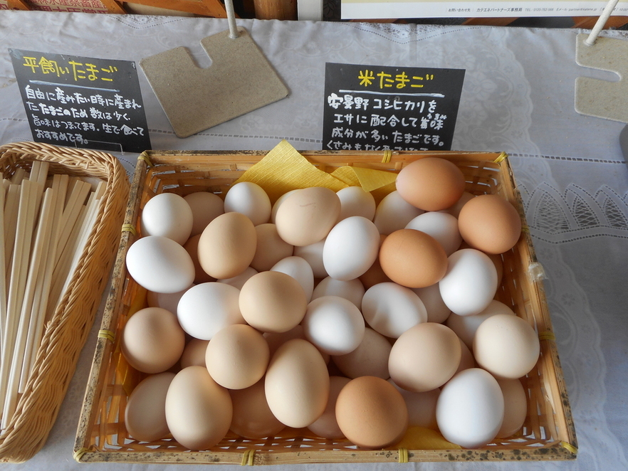 たまごの駅 name=