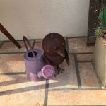 ピッツェリアバラッキーノ - 