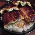 イチビキ - 特上丼　御飯大盛り