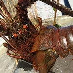 勝美 - 伊勢海老お造り。