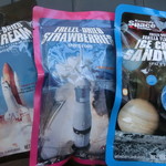  John F. Kennedy Space Center - 宇宙食