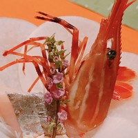 日本食 雅庭 - 