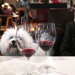 アネア　カフェ - ＠７：３０pm