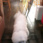 アネア　カフェ - ささみ１００g