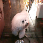 アネア　カフェ - １０秒で完食