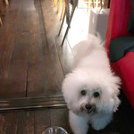 アネア　カフェ - もう終わりなの？