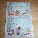 アネア　カフェ - はい、撮れました！！