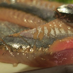 酒菜坊 橋蔵 - 新さんま刺身　ズームアップ