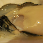 酒菜坊 橋蔵 - 宮城産生牡蠣　ズームアップ