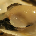 酒菜坊 橋蔵 - 宮城産生牡蠣喰らう