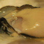 酒菜坊 橋蔵 - 宮城産生牡蠣　ズームアップ