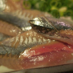 酒菜坊 橋蔵 - 新さんま刺身　ズームアップ