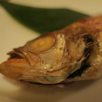 酒菜坊 橋蔵 - メバルの塩焼き　ズームアップ