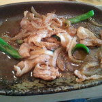 ハルコロ - ごめんなさい！初日にいただいた「豚の生姜焼き」。。。２／３頂いてしまって・・・あわててぇ。。。