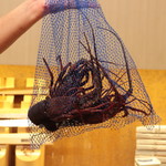 味あら井 - 活伊勢海老