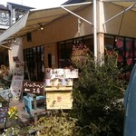 タンタシオン・ダンジュ - 