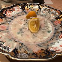 臼杵ふぐ 山田屋 丸の内 - ふぐ刺身