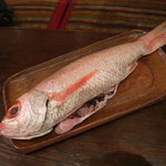 板前割烹 なかくし - そののどくろ