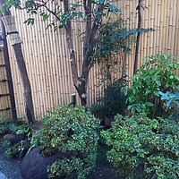 古月 - 