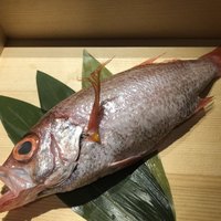 のどぐろ専門 銀座 中俣 - 