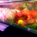 季節海鮮料理 紳 - 