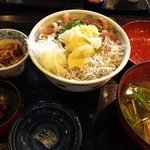 魚四季 - 白魚と鯵の二色丼