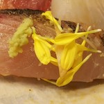 真紡庵 - サゴシ